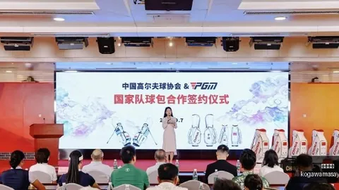 2026688291资产重组，停牌背后真相